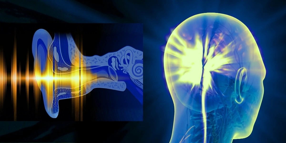 Scientific diagram of the auditory neural pathway from ear to brain showing disruption